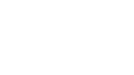 DJ Revolution